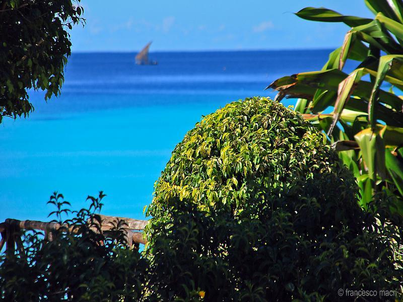 Hotel My Blue Zanzibar